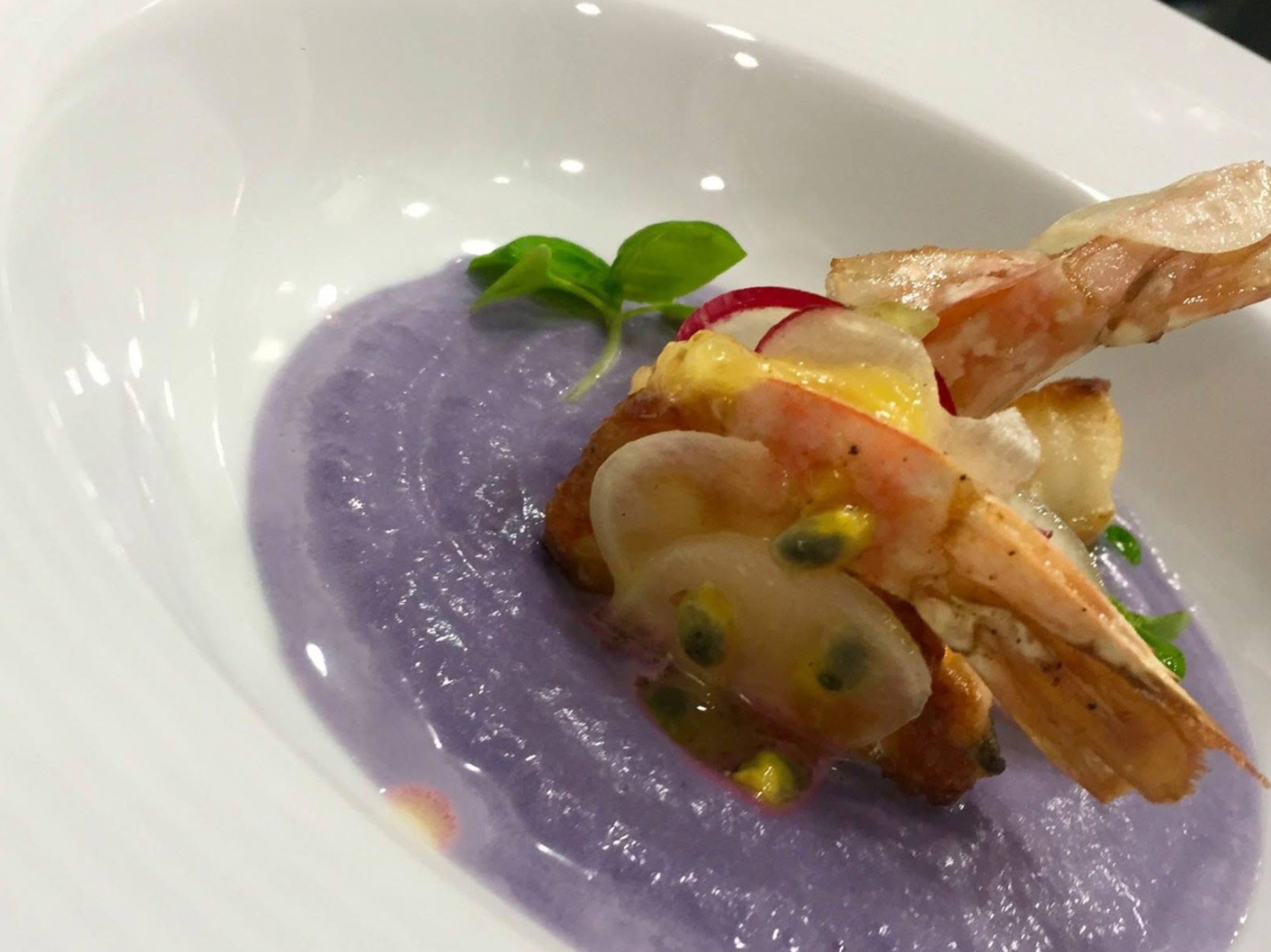 IMG_2499.jpeg IMG_2499.jpeg