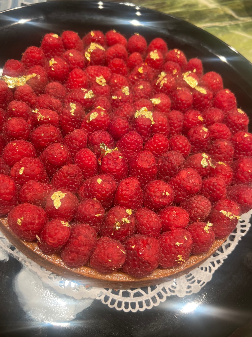 IMG_3342.jpeg IMG_3342.jpeg