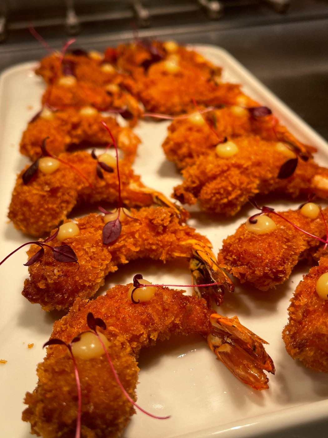 IMG_9993.jpeg IMG_9993.jpeg