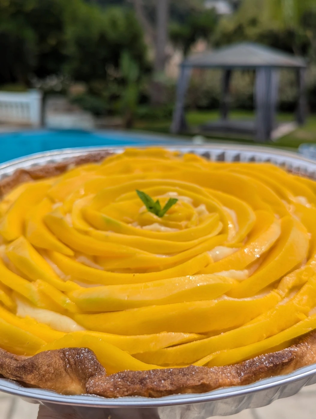 PXL_20250814_121812928.NIGHT.jpg PXL_20250814_121812928.NIGHT.jpg