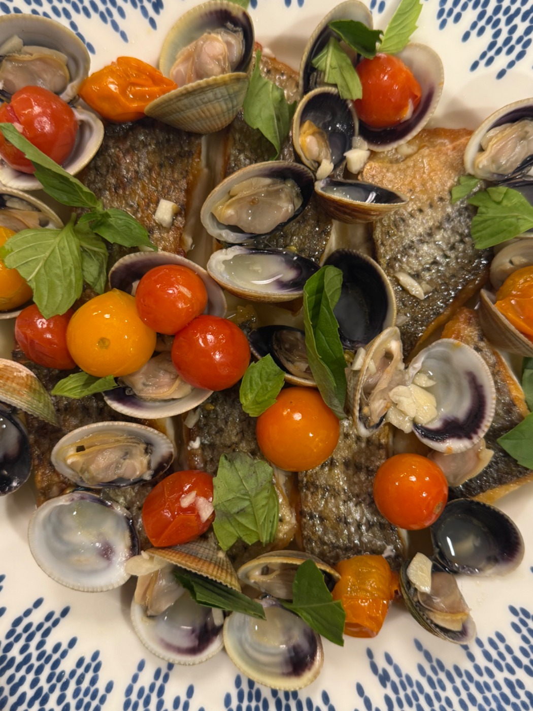 IMG_6683.jpeg IMG_6683.jpeg