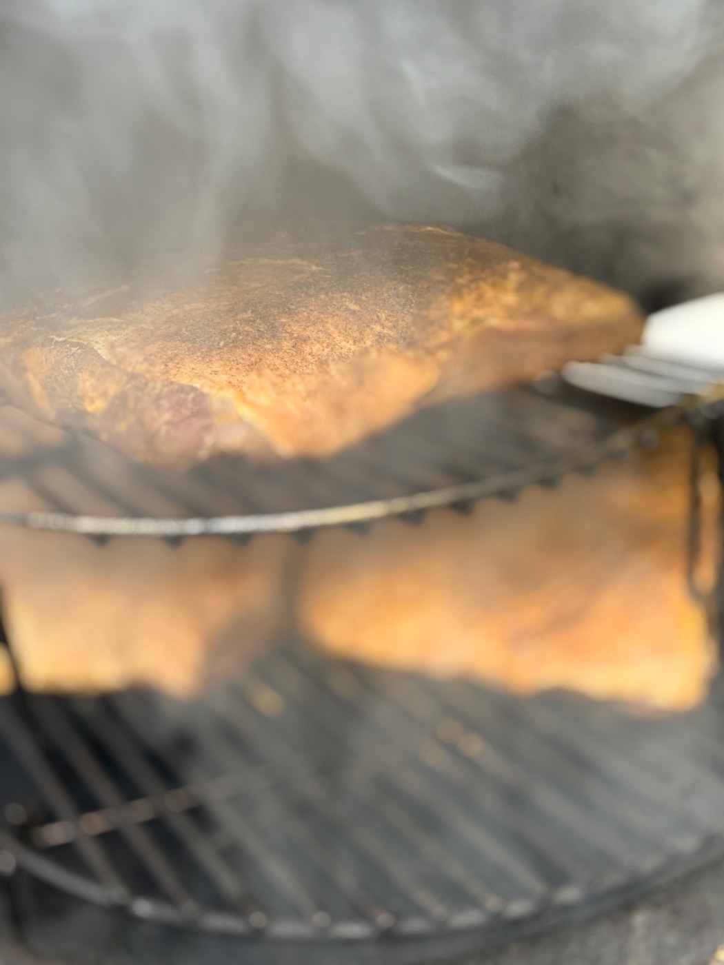 IMG_4991.jpeg IMG_4991.jpeg