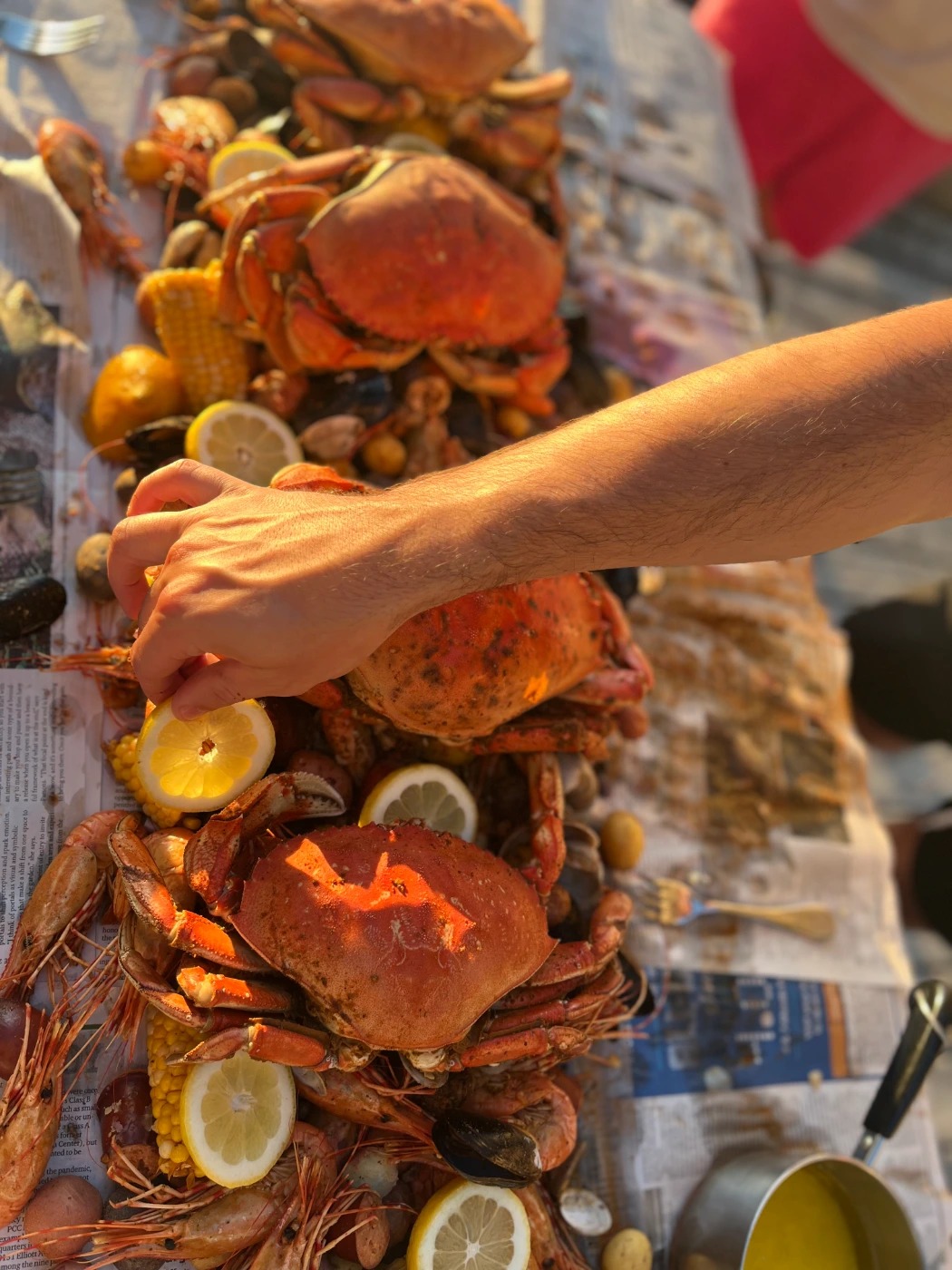 IMG_6582.jpeg IMG_6582.jpeg