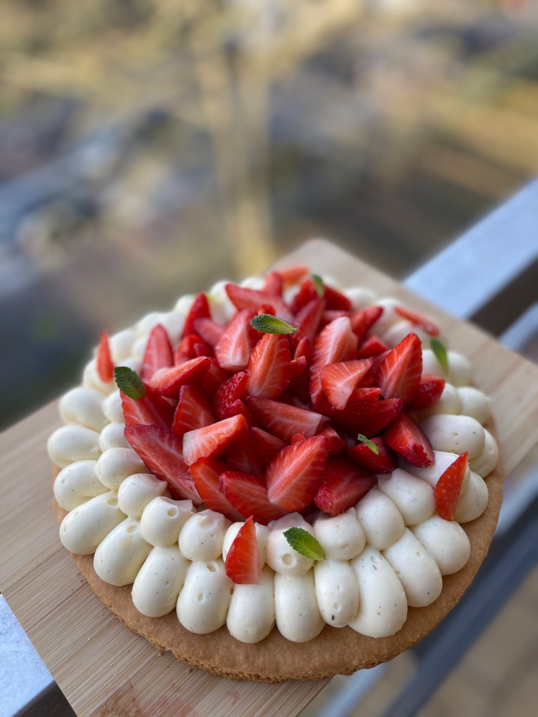 IMG_6724.jpeg IMG_6724.jpeg