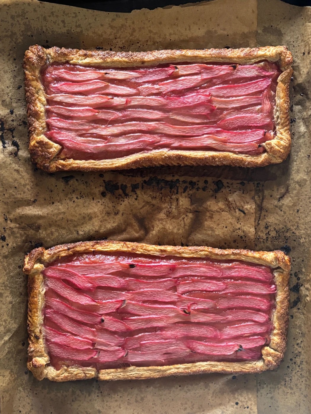 1000006576.jpg 1000006576.jpg