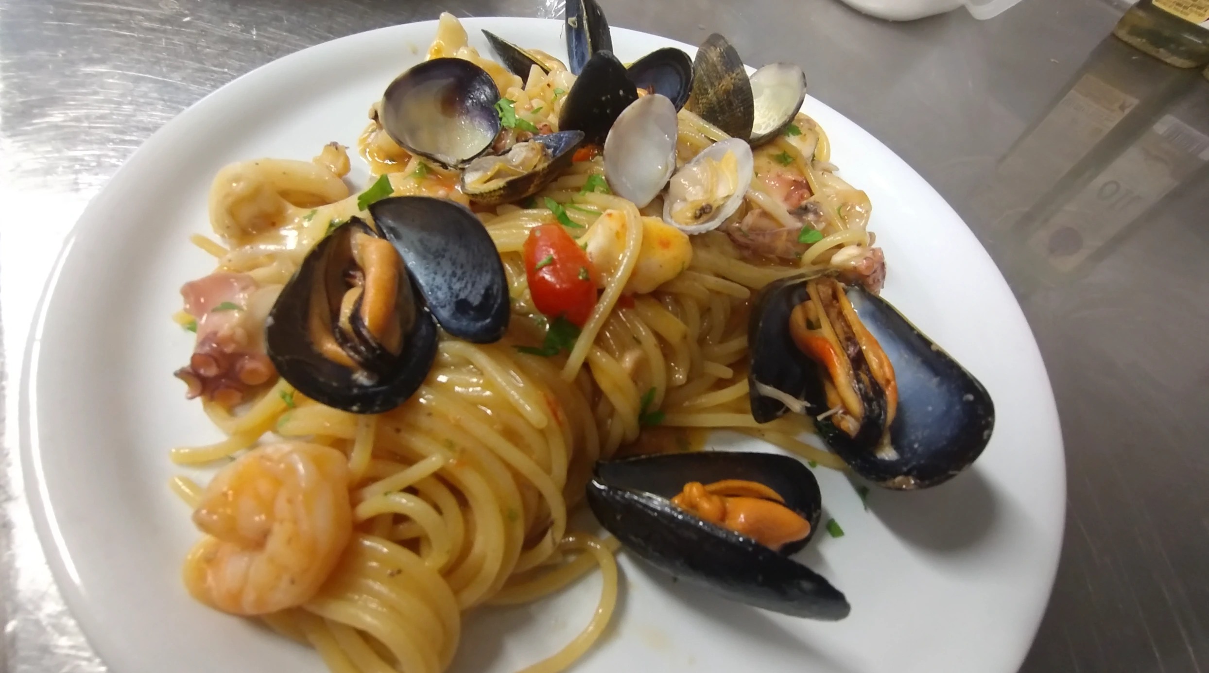 IMG_20250531_131136083.jpg IMG_20250531_131136083.jpg