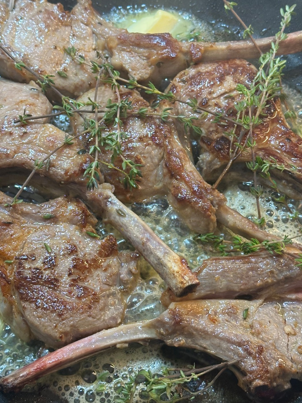 IMG_2146.jpeg IMG_2146.jpeg