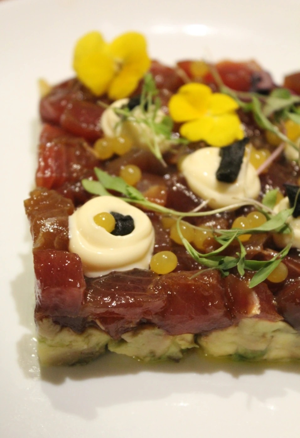 IMG_20250906_193908.jpg IMG_20250906_193908.jpg