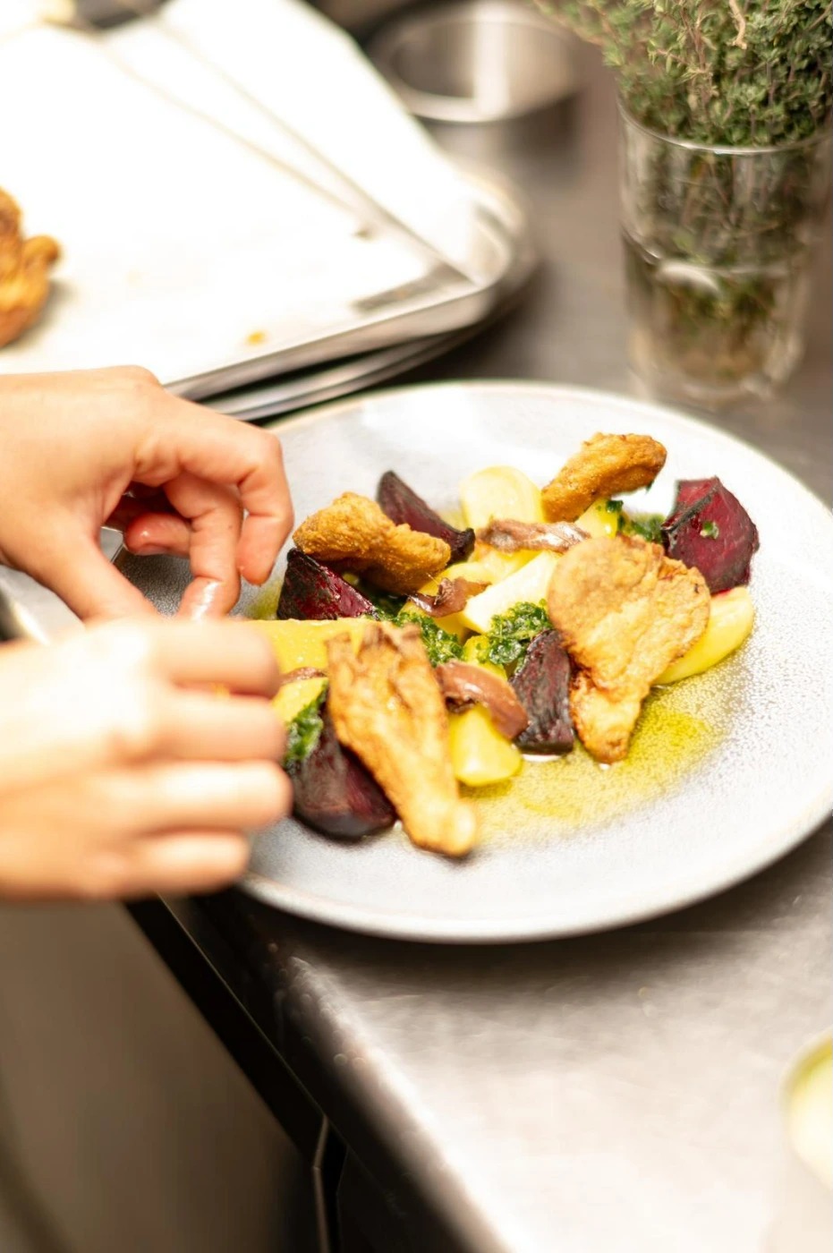 Betterave rotis, pleureottes frites, anchois pesto.jpg Betterave rotis, pleureottes frites, anchois pesto.jpg