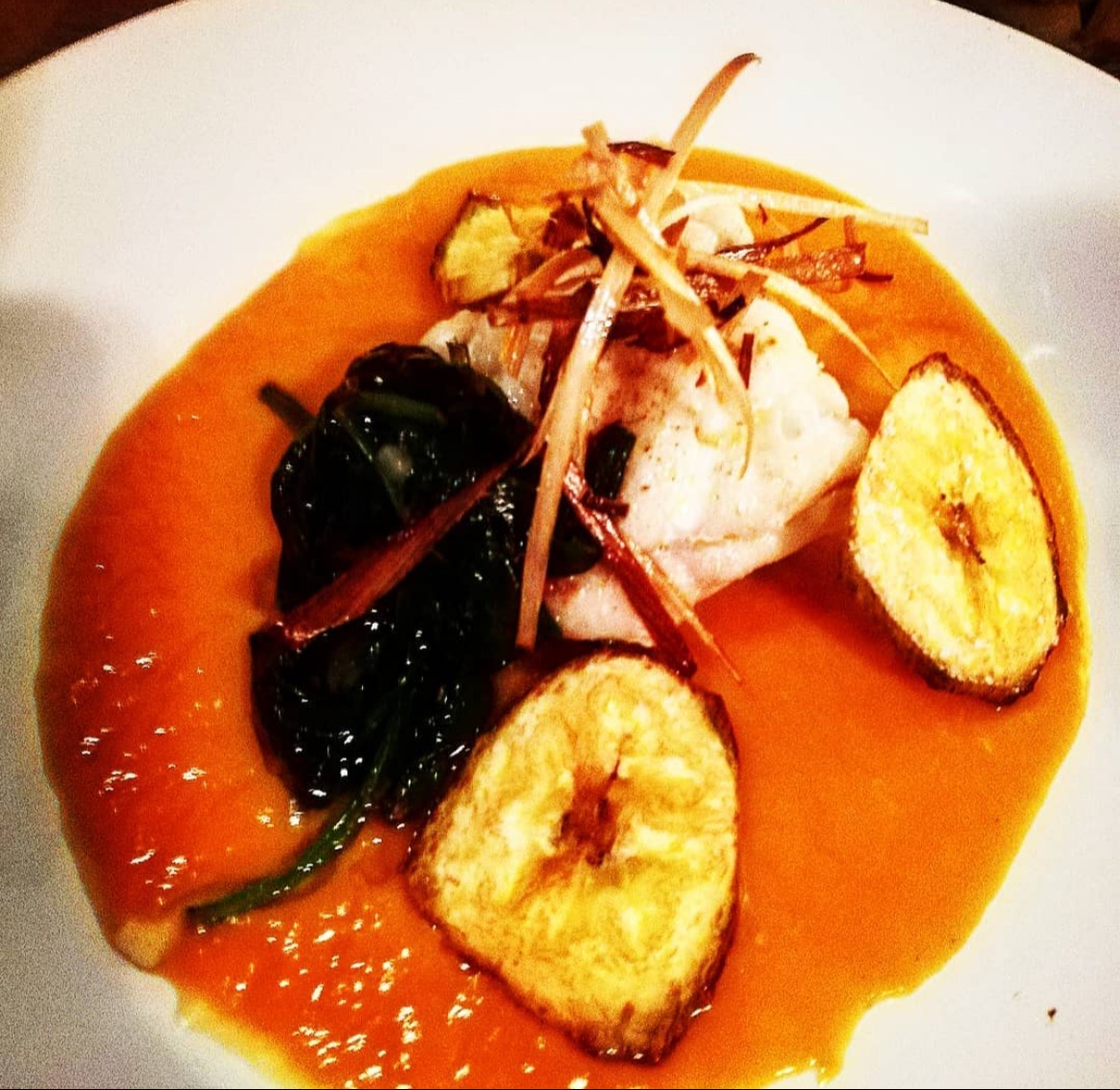 IMG_3904.jpeg IMG_3904.jpeg