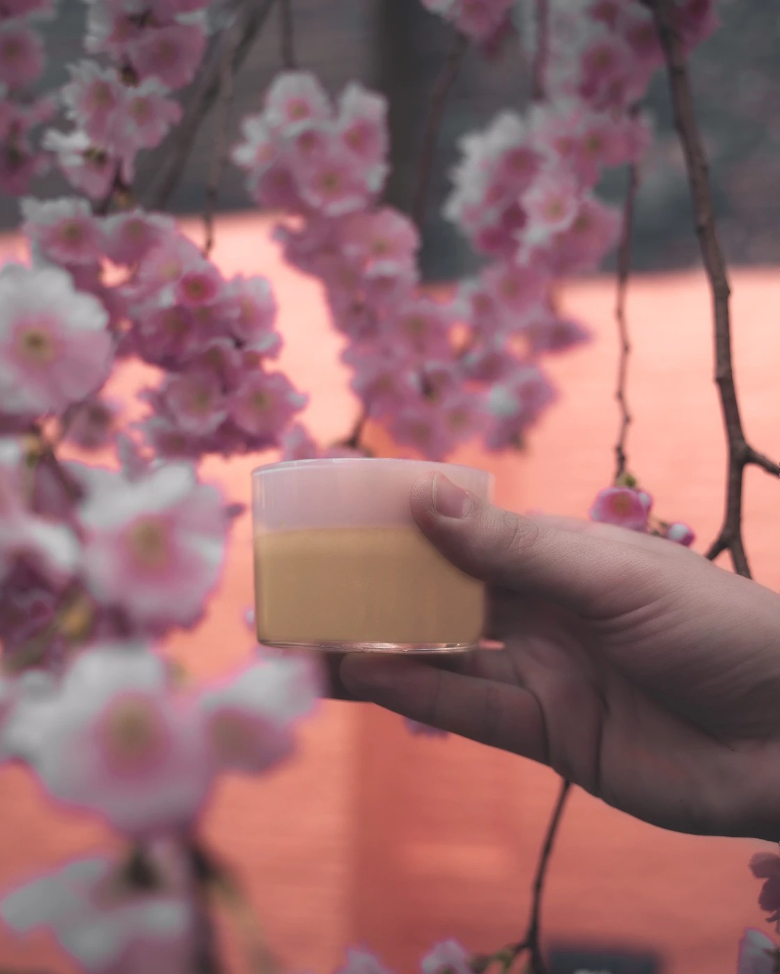 photo 19-04-2018, 00 35 13.JPG