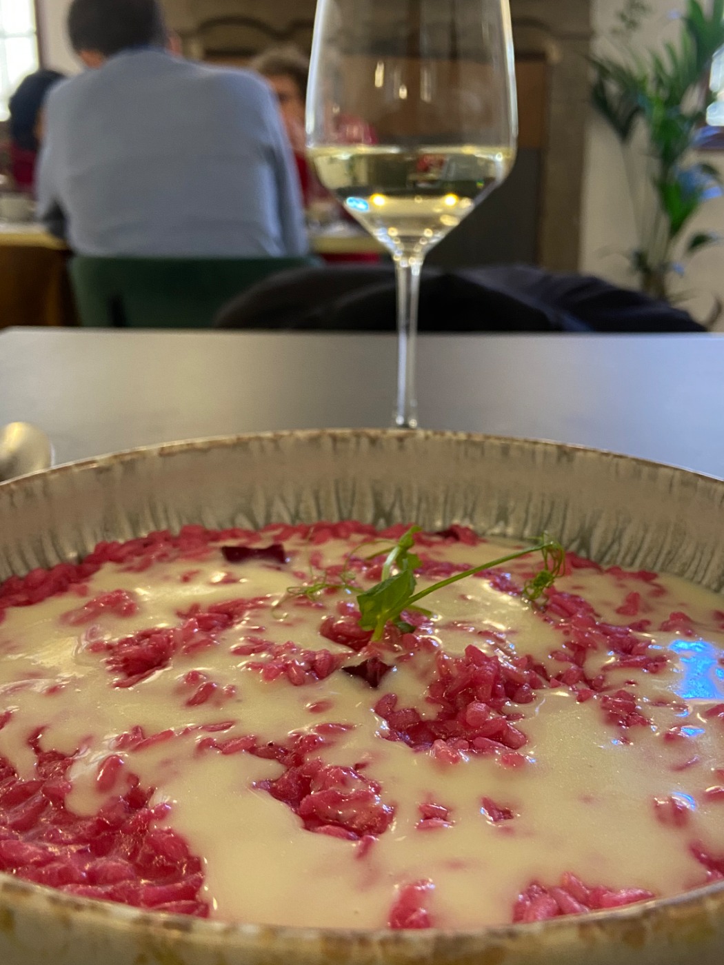 IMG_8522.jpeg IMG_8522.jpeg