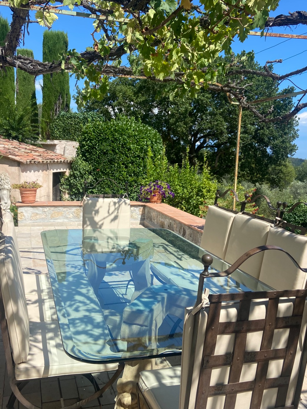 IMG_6806.jpeg IMG_6806.jpeg