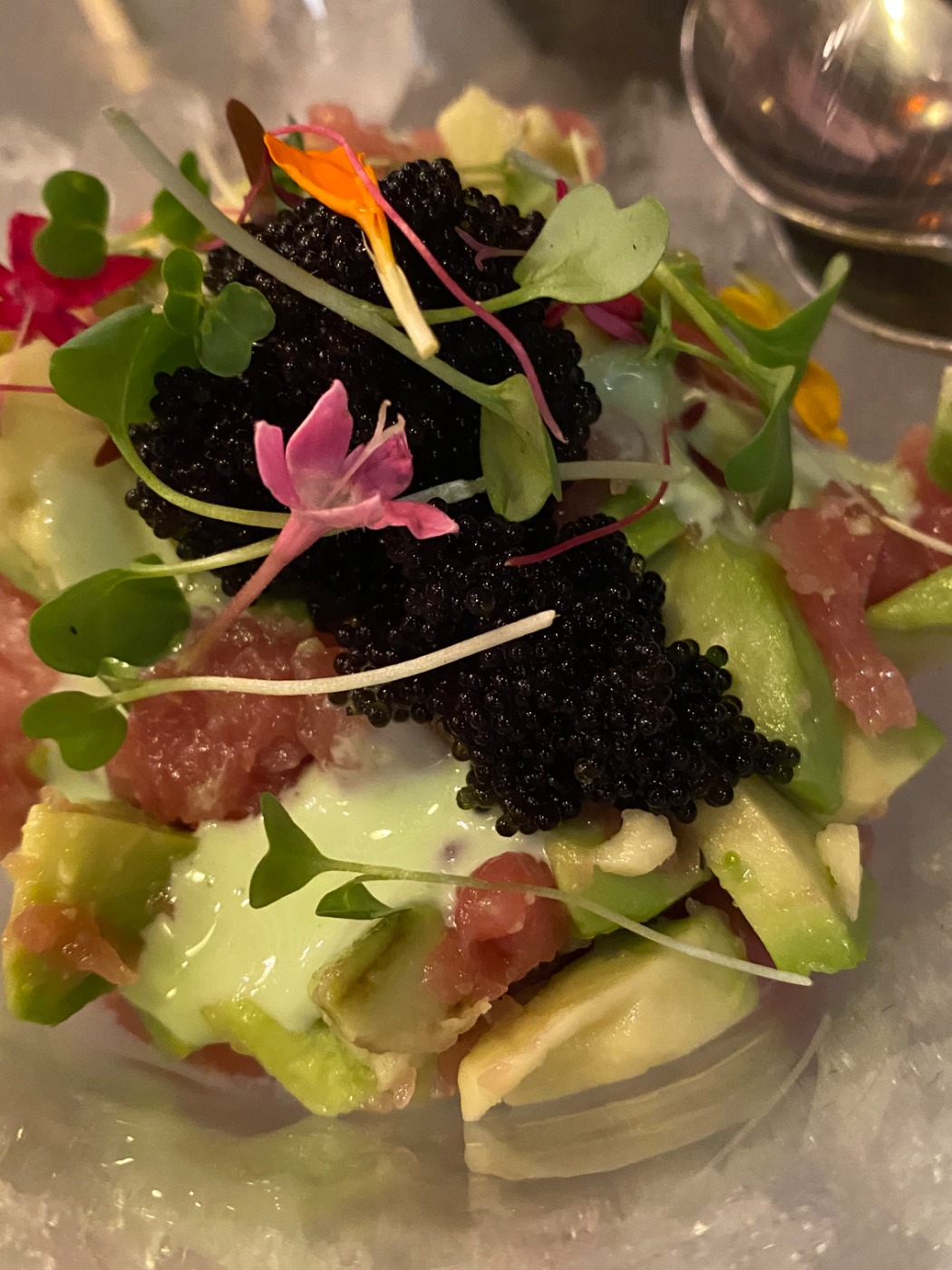 IMG_4435.jpeg IMG_4435.jpeg