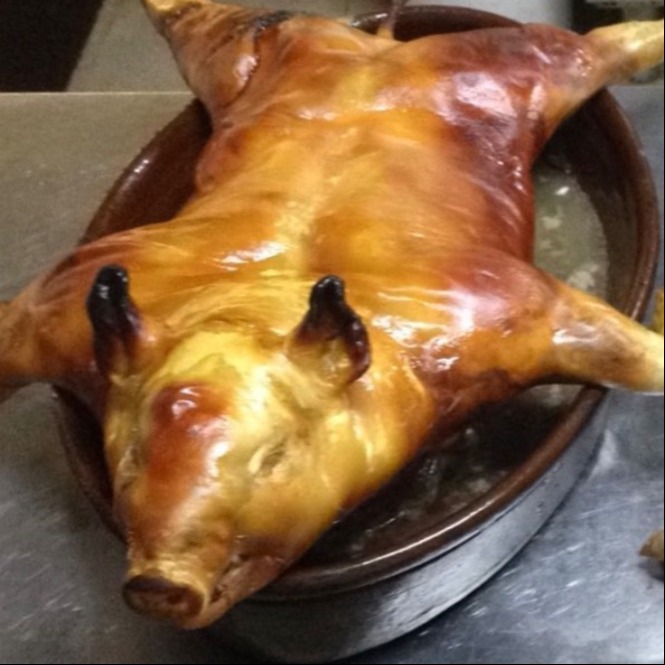 IMG_2065.jpeg IMG_2065.jpeg