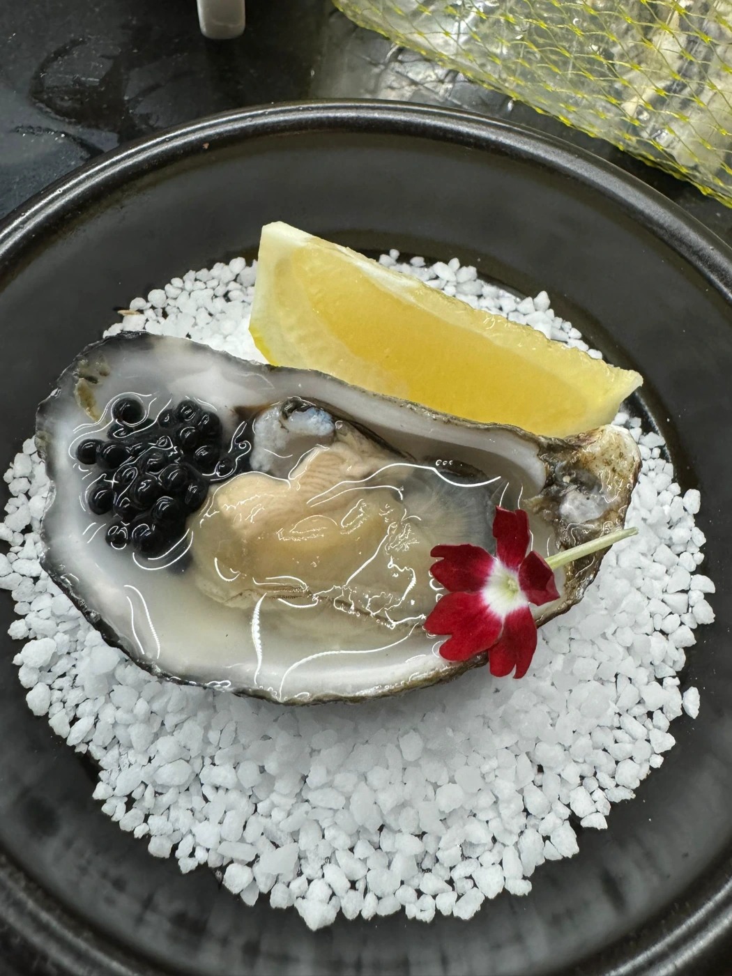 1000070039.jpg 1000070039.jpg