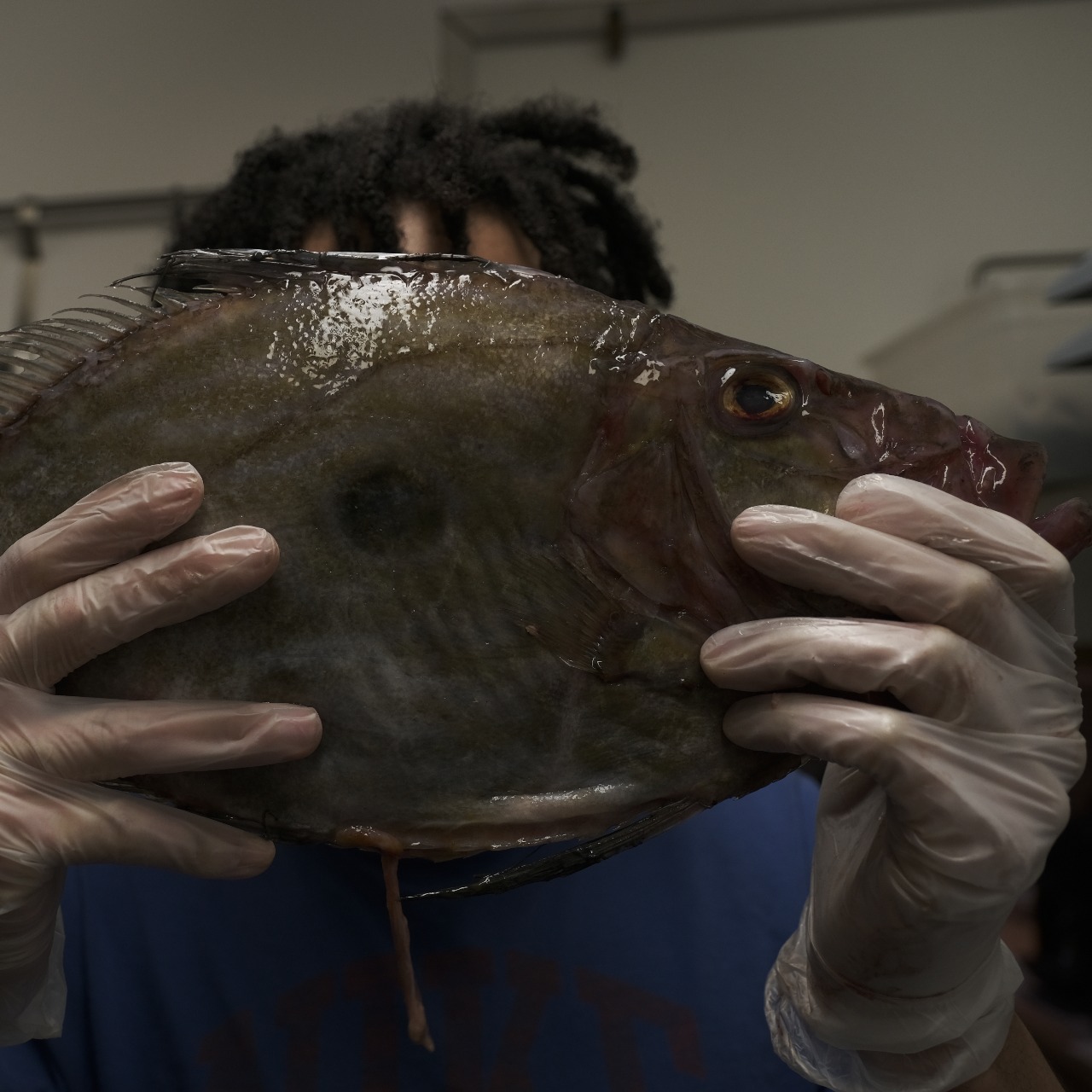 Photo from chef Rovela Joris