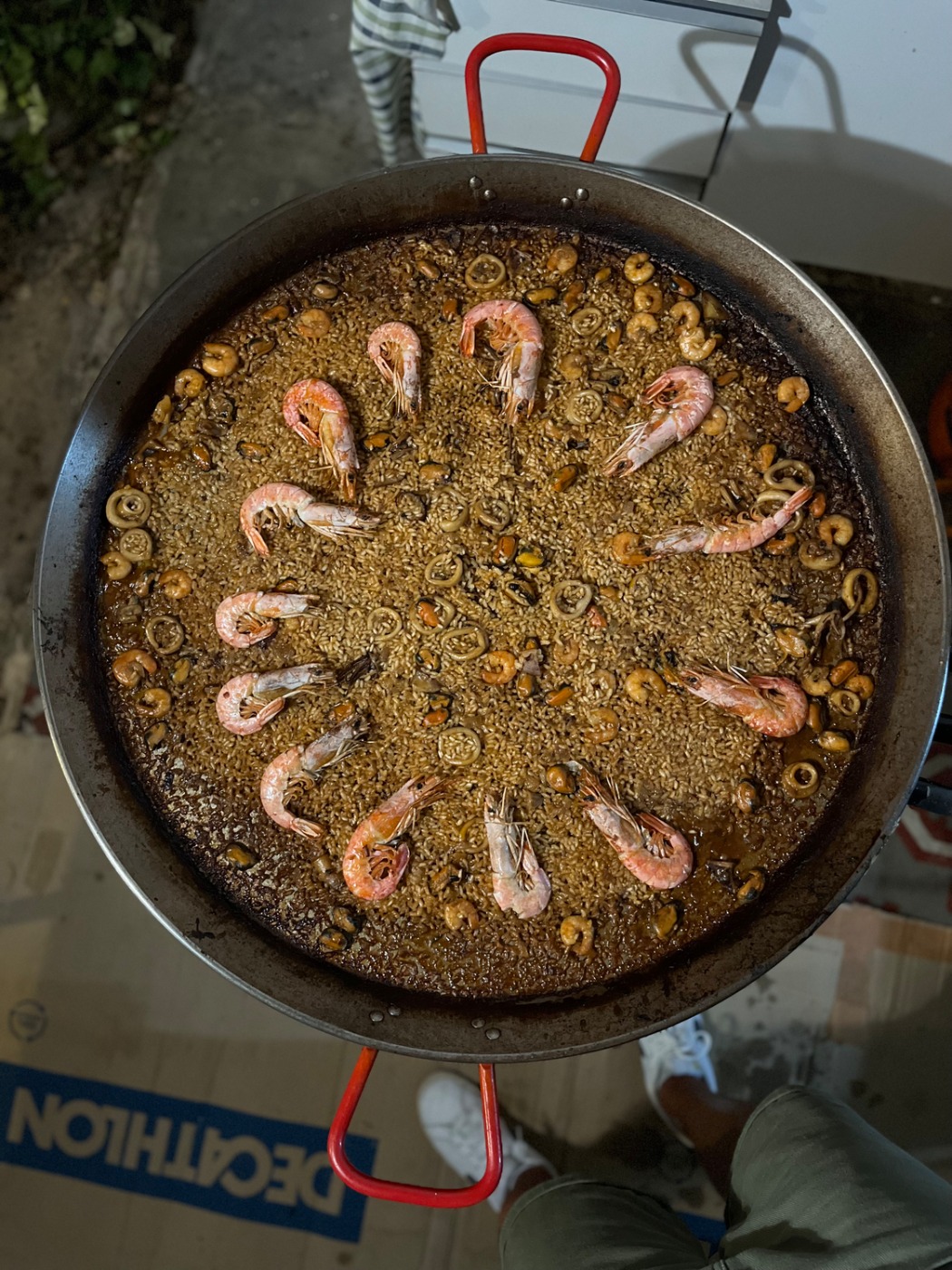 IMG_2312.jpeg IMG_2312.jpeg