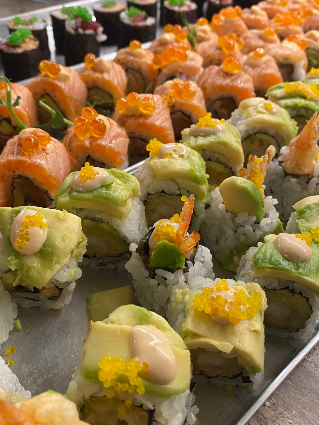 IMG_9485.jpeg IMG_9485.jpeg