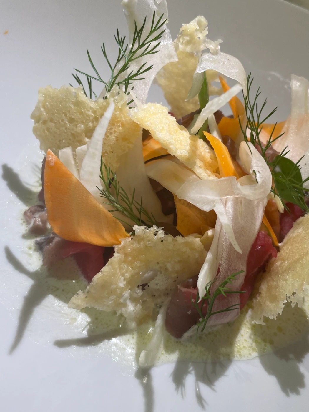 IMG_9266.jpeg IMG_9266.jpeg