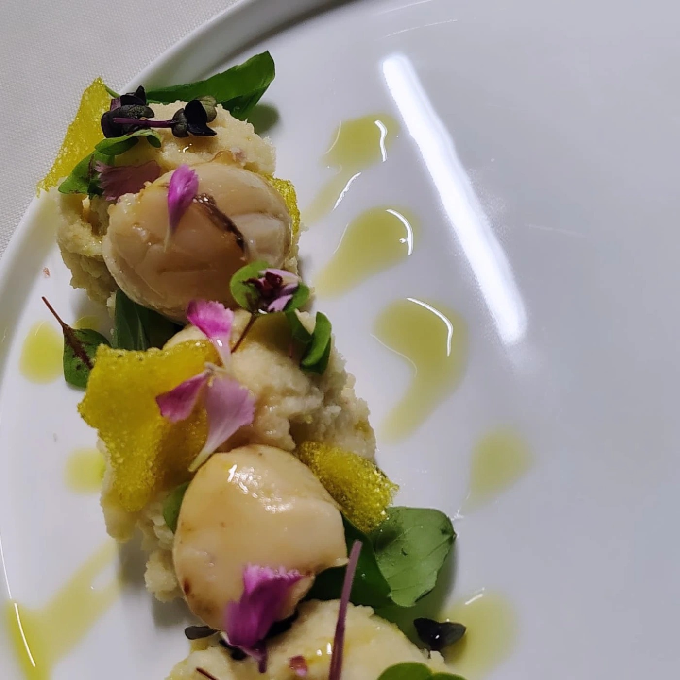 1000025957.jpg 1000025957.jpg