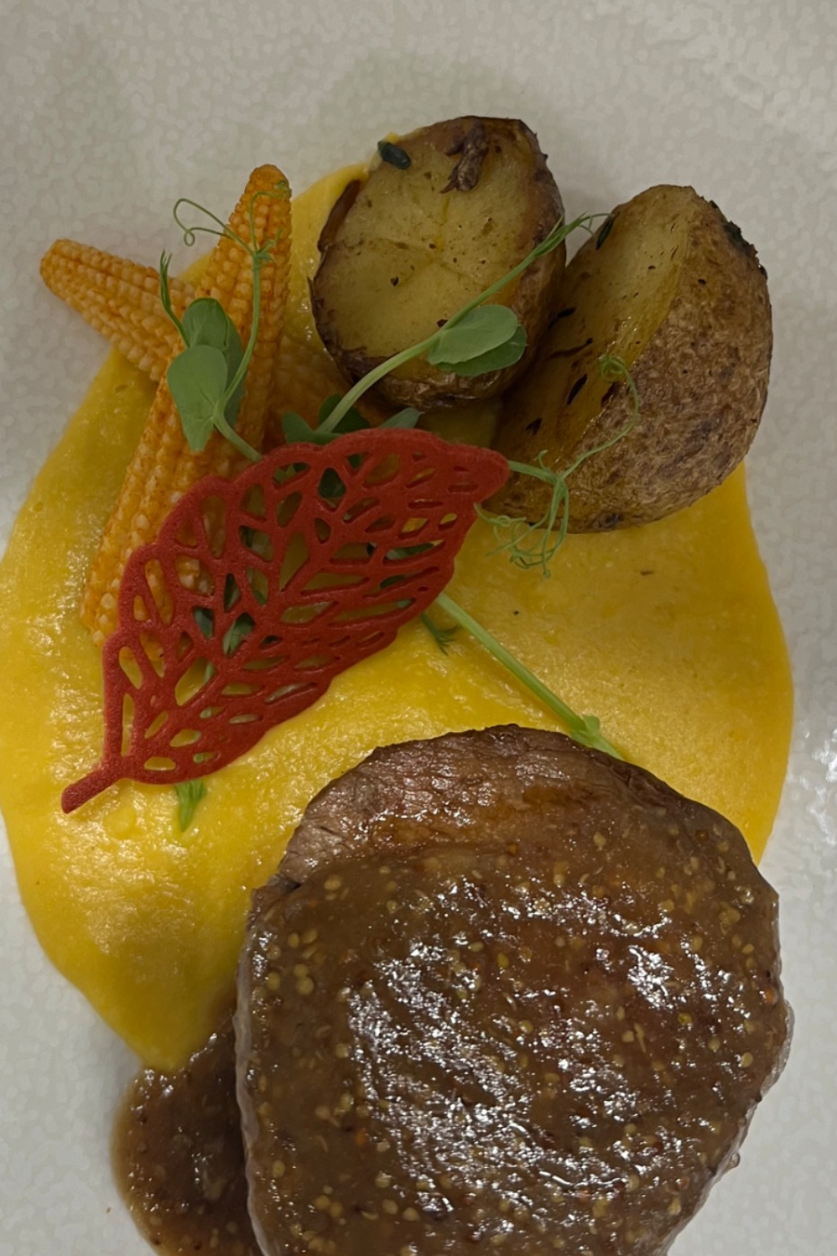 IMG_0266.jpeg IMG_0266.jpeg