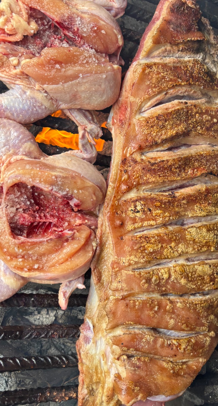 IMG_4742.jpeg IMG_4742.jpeg