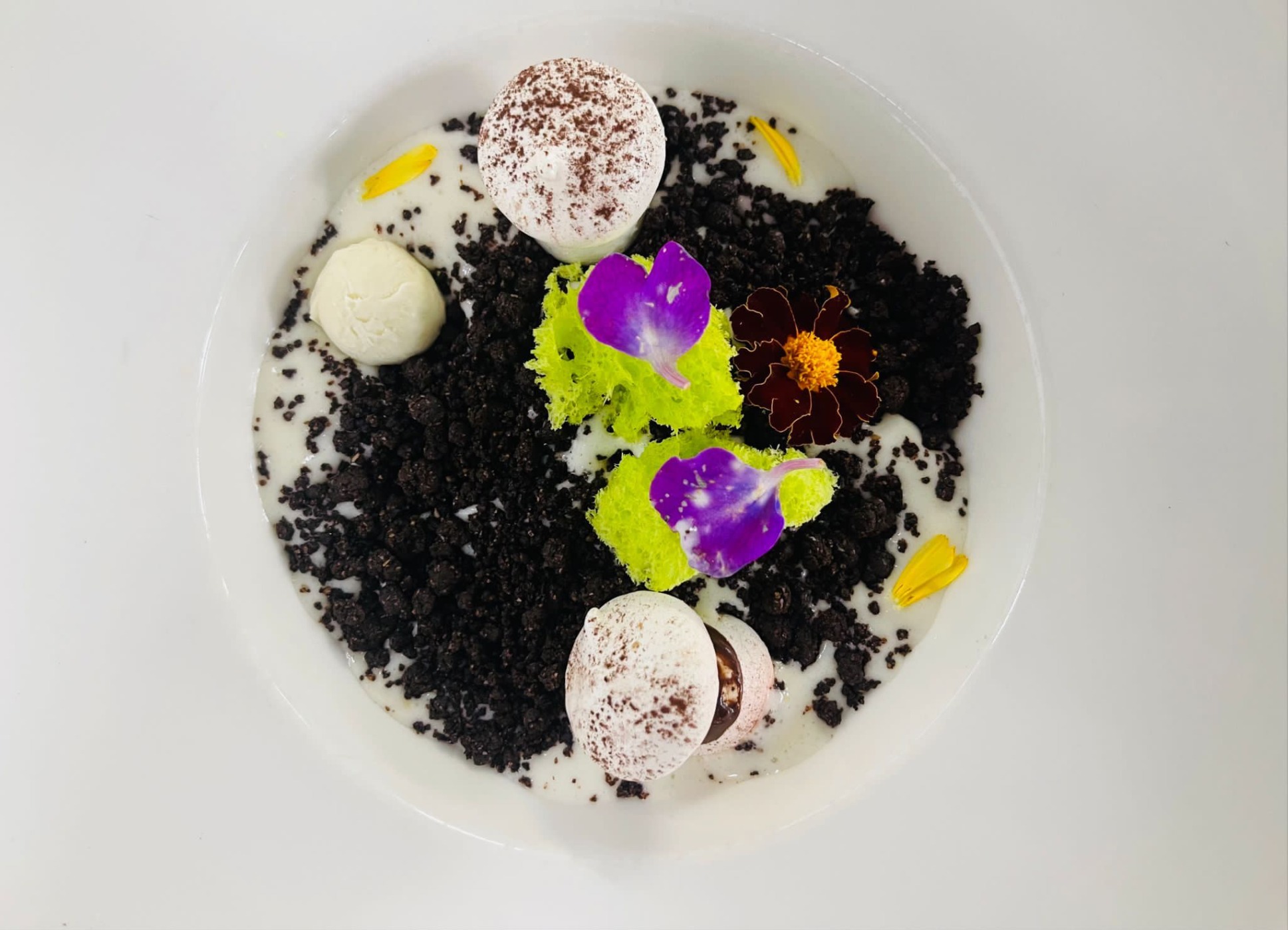 39db0711-5de0-4c1e-8288-b59b941f77d4.jpeg 39db0711-5de0-4c1e-8288-b59b941f77d4.jpeg