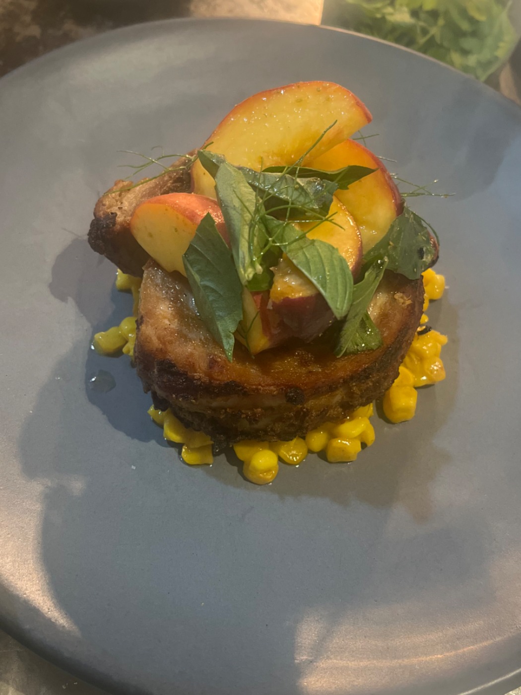 IMG_8186.jpeg IMG_8186.jpeg