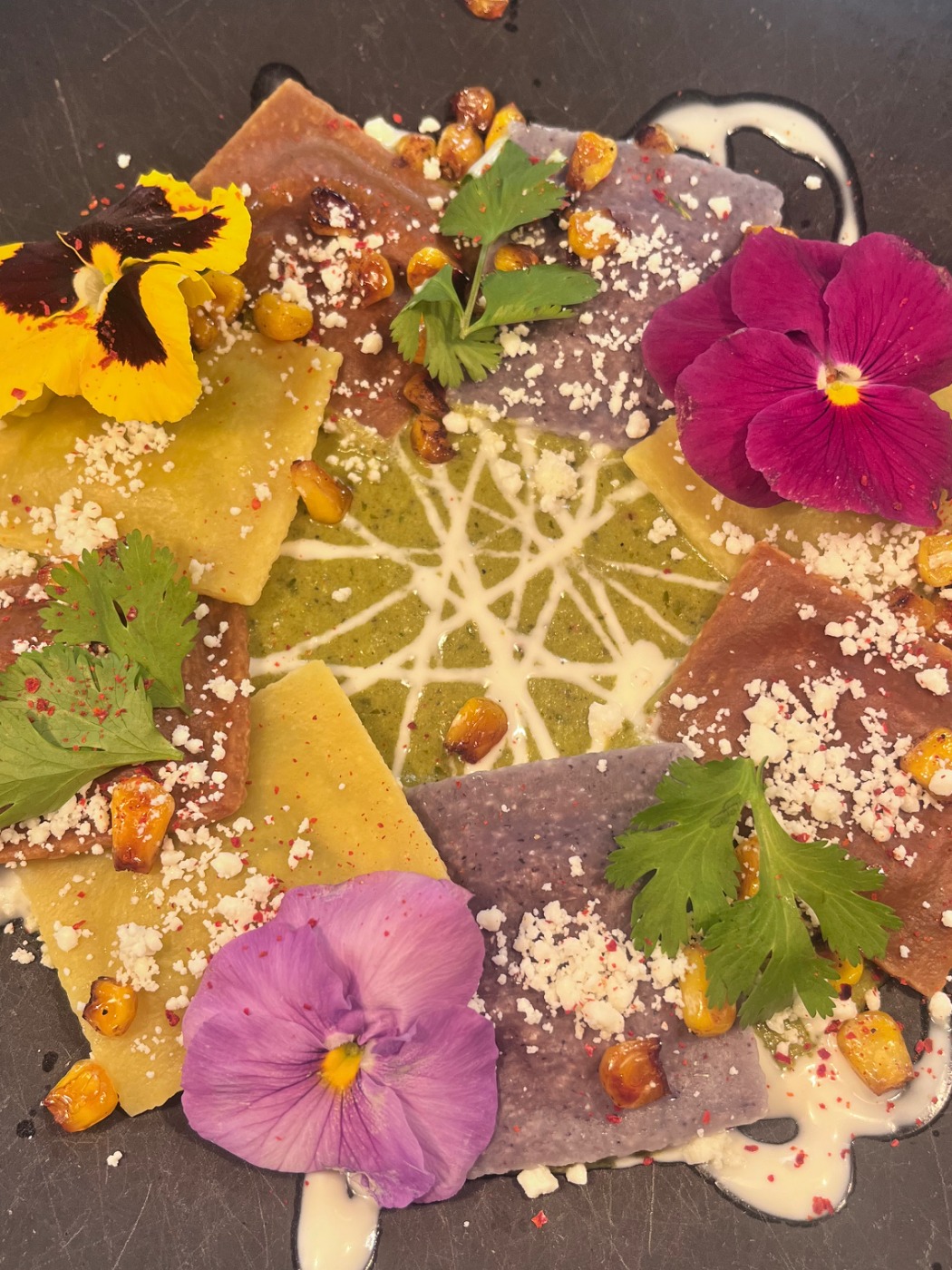 IMG_3037.jpeg IMG_3037.jpeg