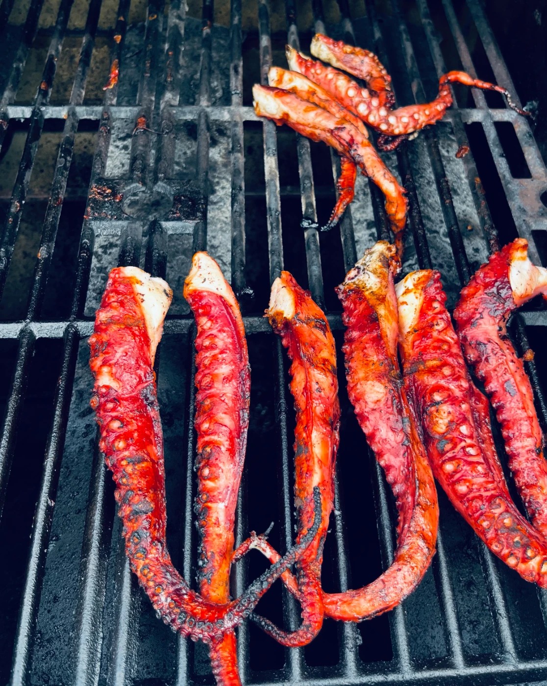 IMG_0174.jpeg IMG_0174.jpeg