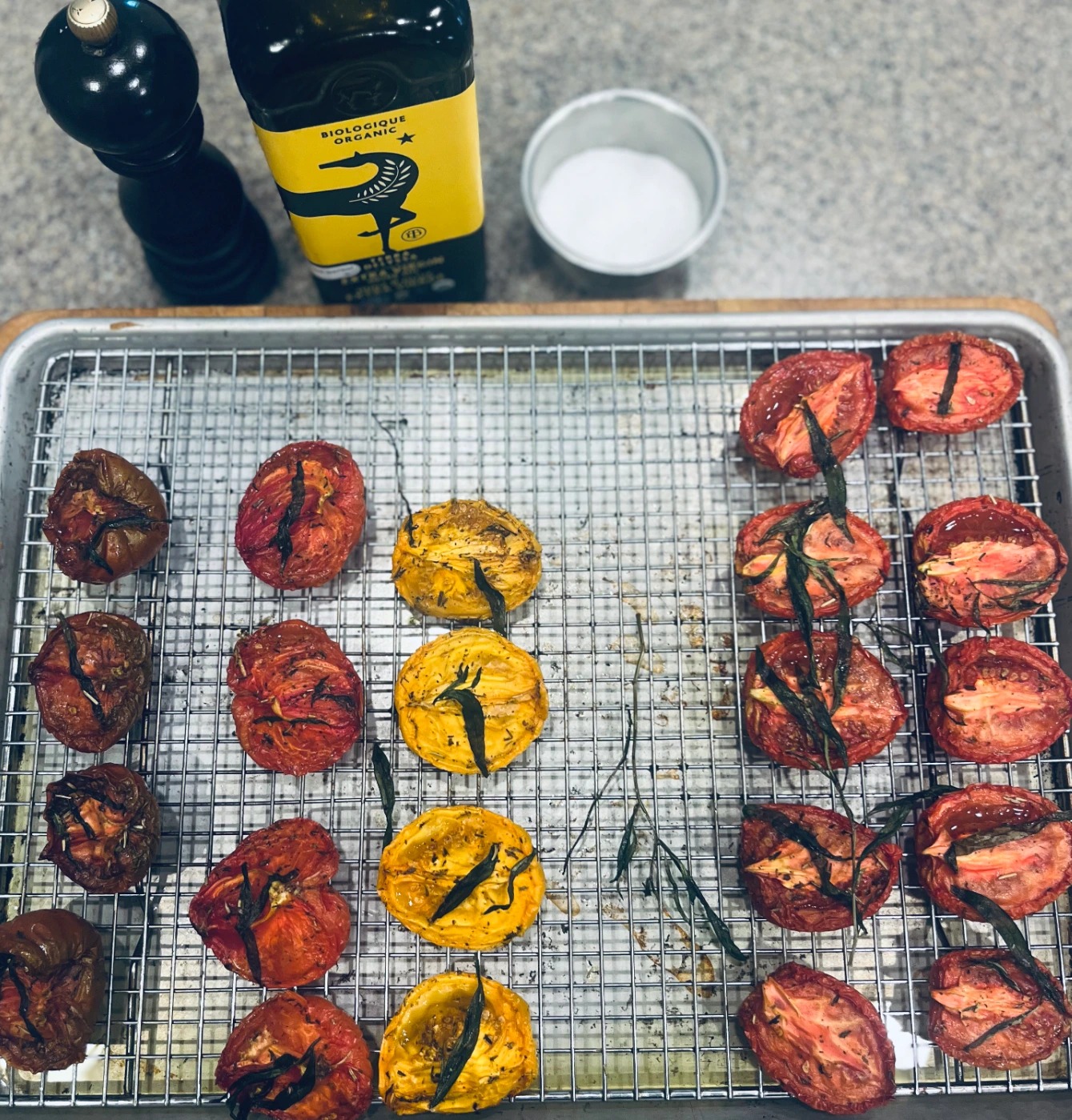 IMG_9943.jpeg IMG_9943.jpeg