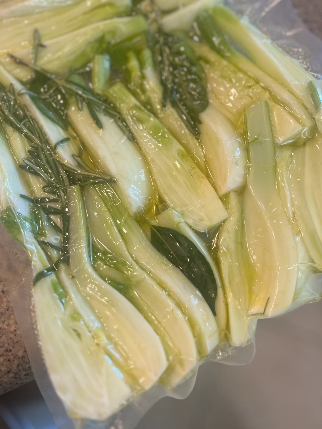 IMG_0161.jpeg IMG_0161.jpeg