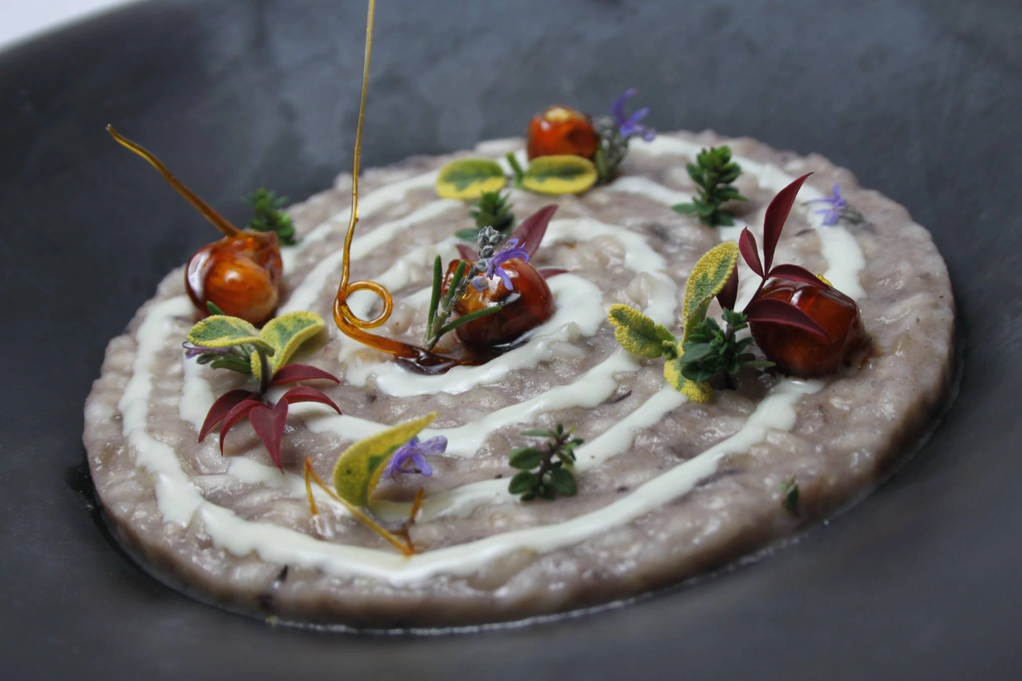 465573673_10234483004446785_5997201148306238755_n.jpg 465573673_10234483004446785_5997201148306238755_n.jpg