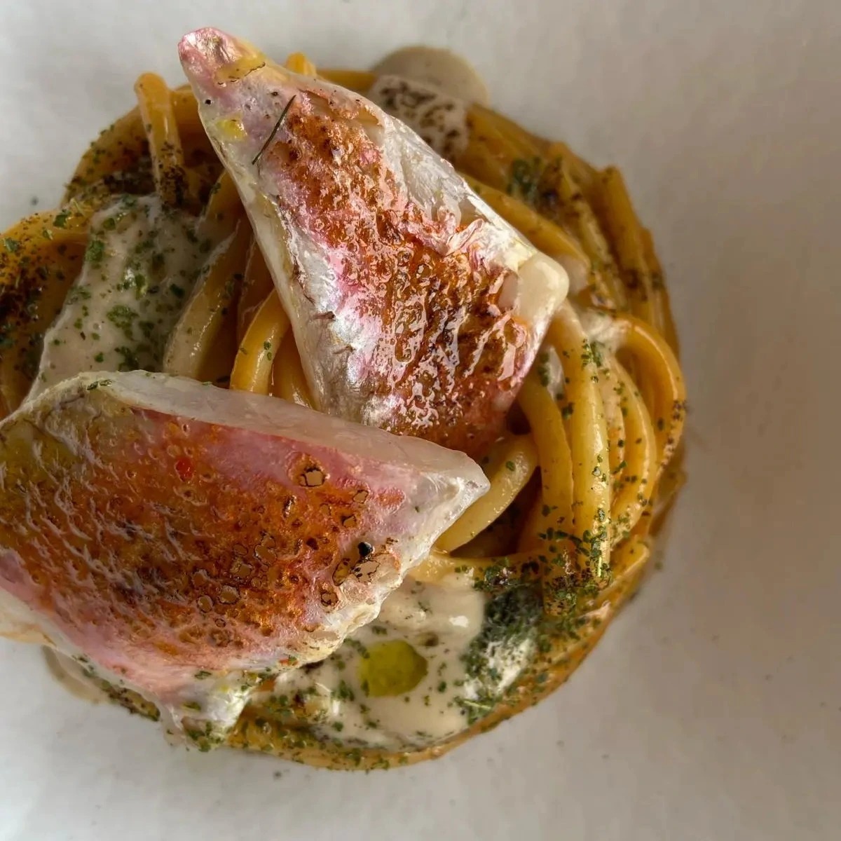 505548253_10237416854911213_3636404064437693858_n.jpg 505548253_10237416854911213_3636404064437693858_n.jpg