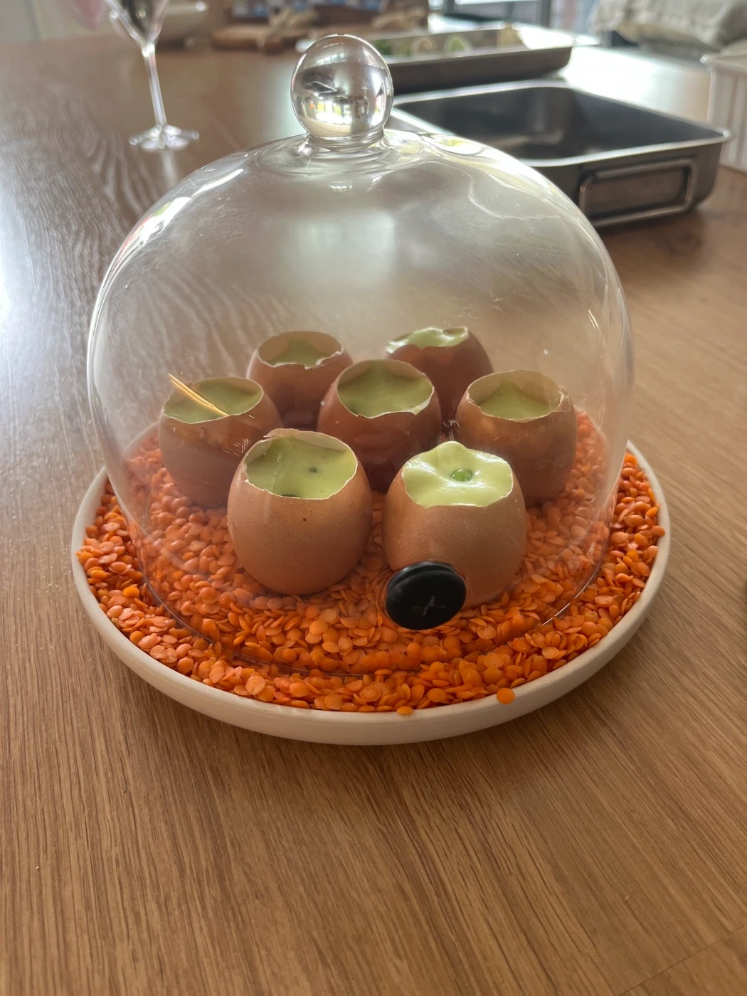 IMG_1948.jpg IMG_1948.jpg