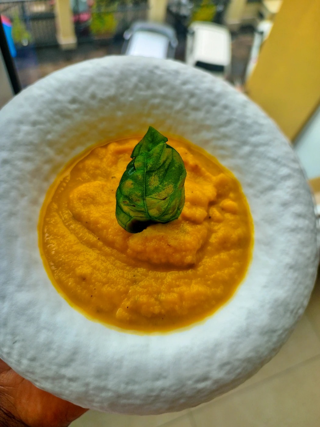 IMG_20250410_125303_392.jpg IMG_20250410_125303_392.jpg