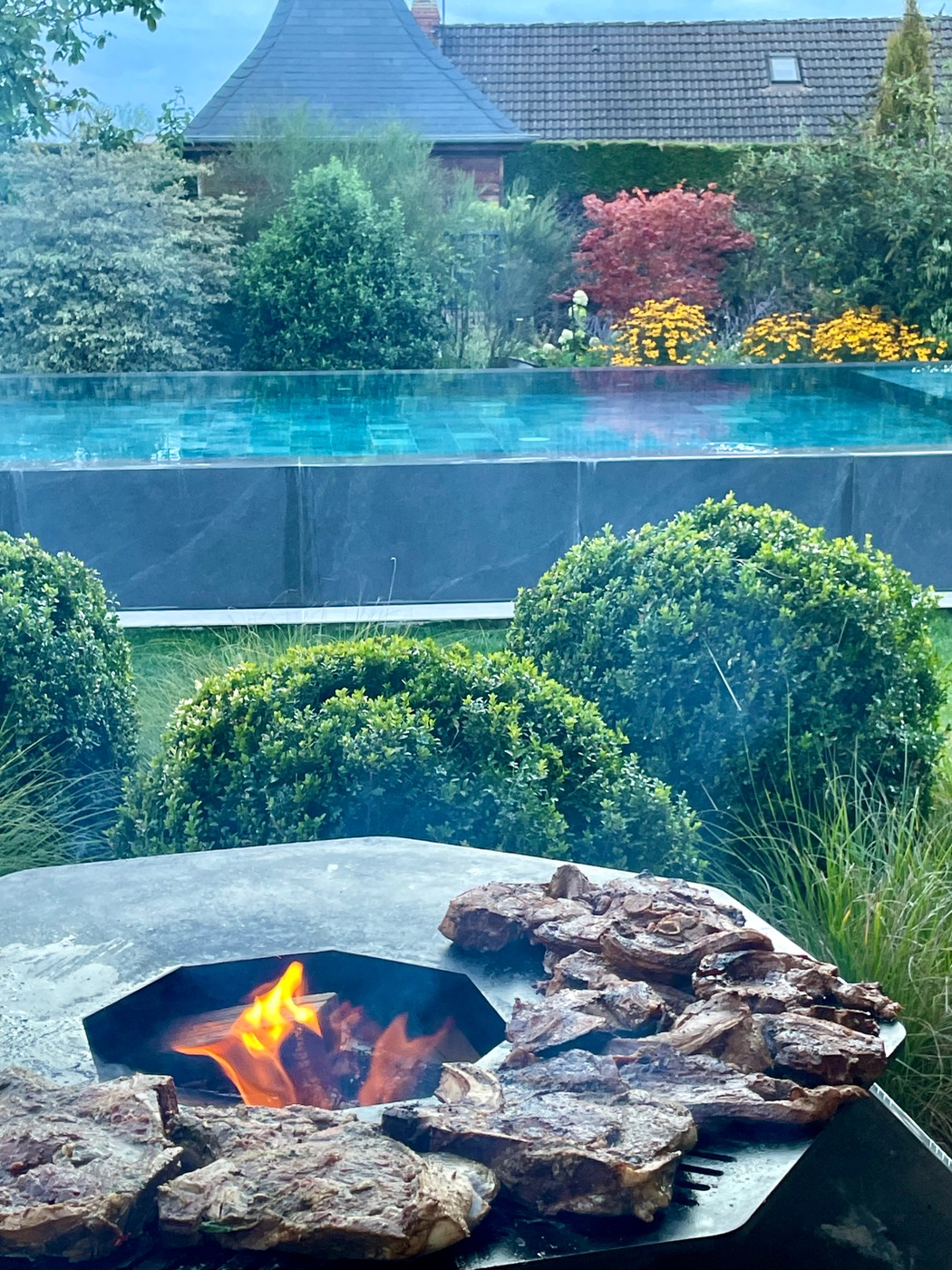 IMG_5406.jpeg IMG_5406.jpeg