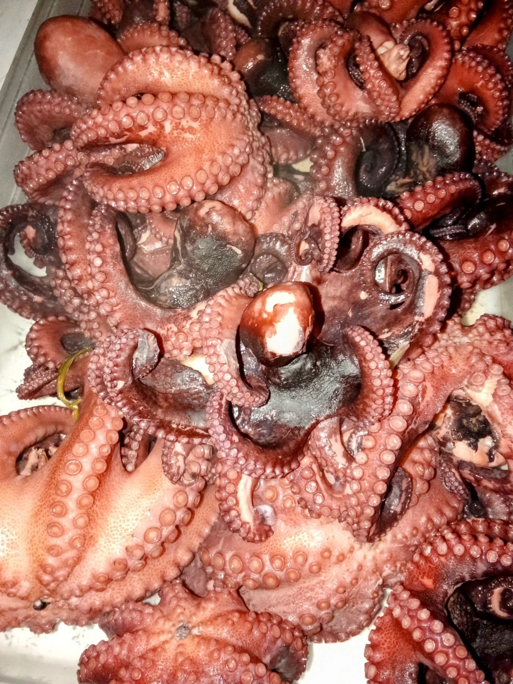 1000028683.jpg 1000028683.jpg