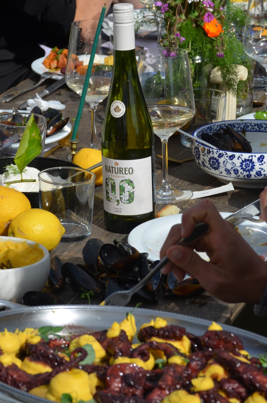 DSC_0318.jpeg DSC_0318.jpeg