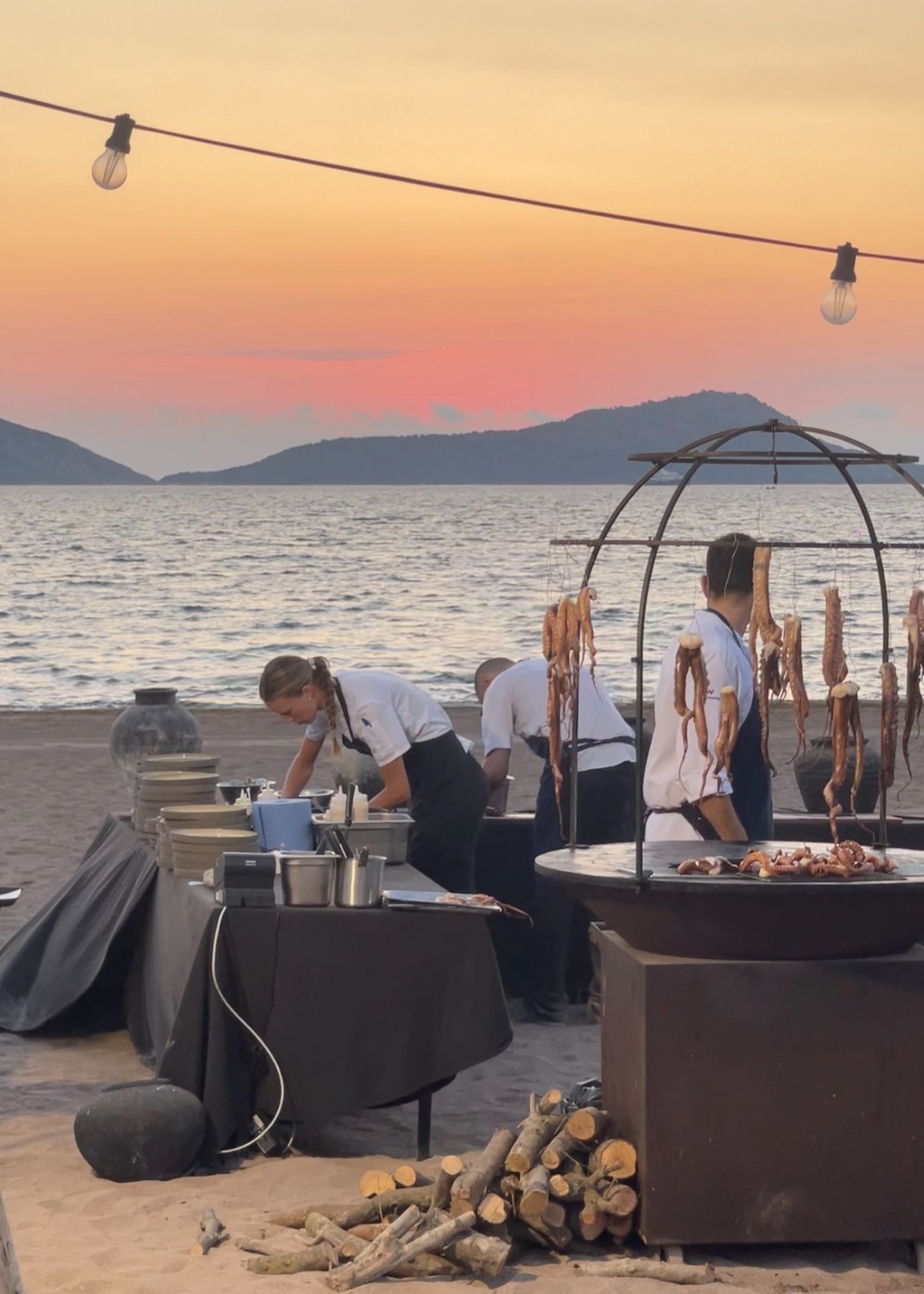 IMG_4293.jpeg IMG_4293.jpeg