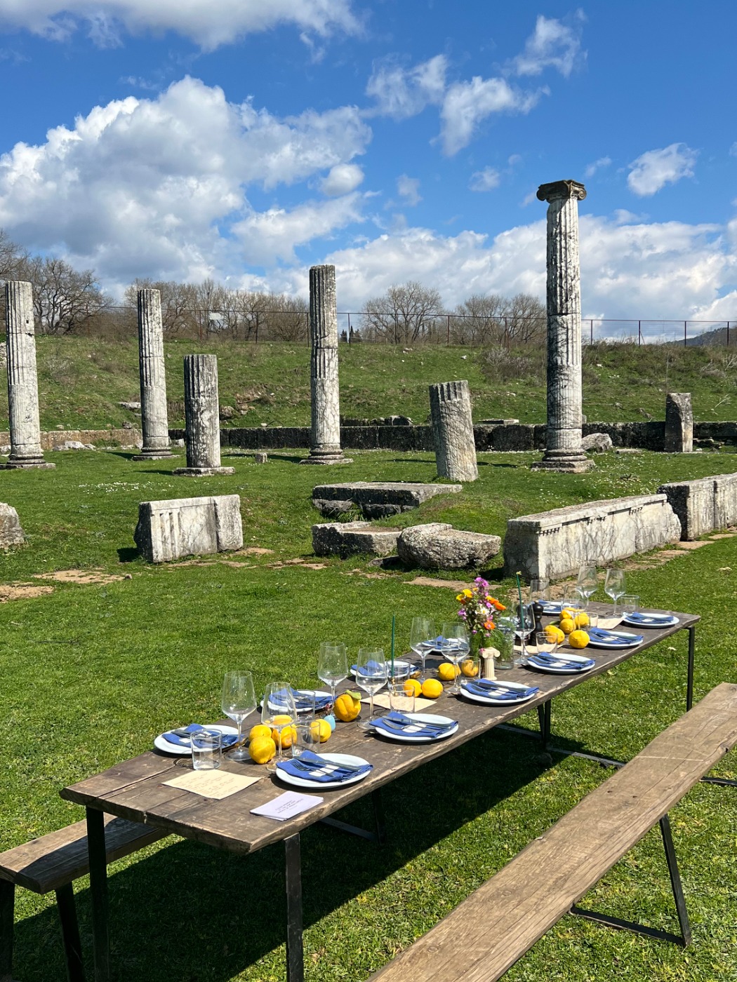 IMG_3974.jpeg IMG_3974.jpeg