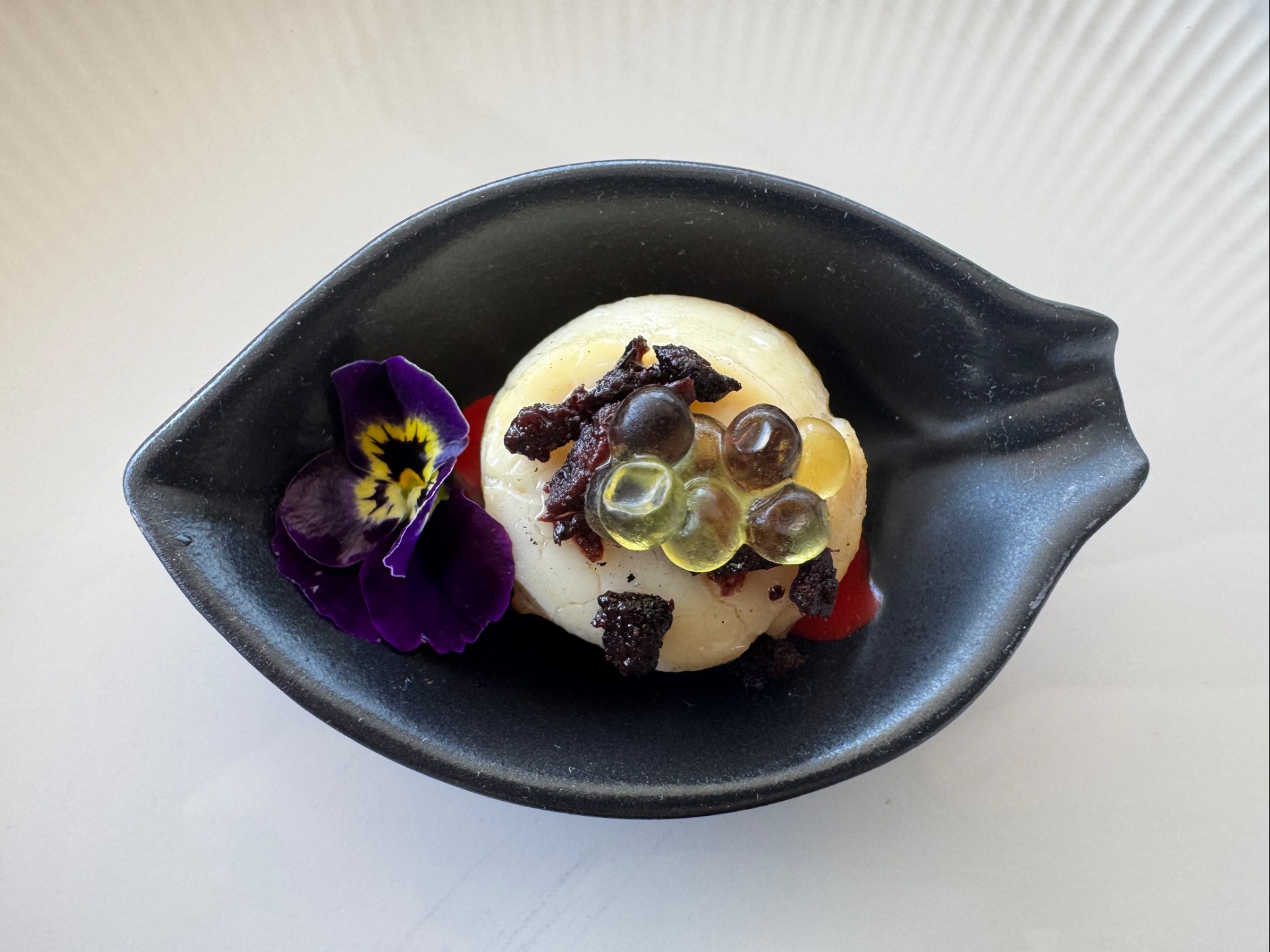 IMG_9251.jpeg IMG_9251.jpeg