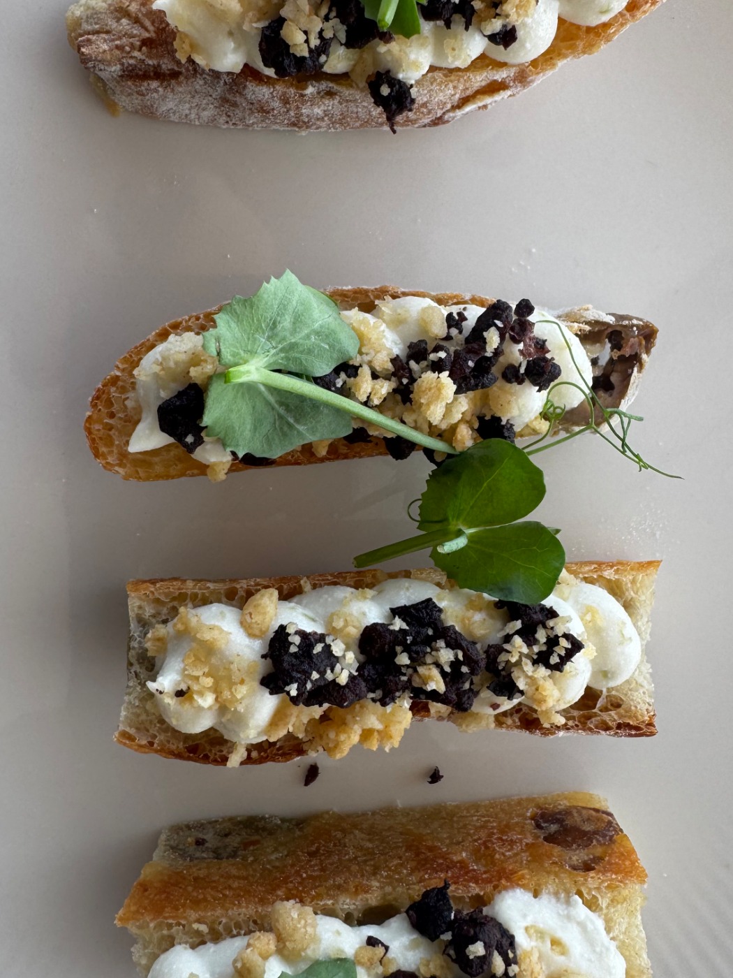 IMG_9248.jpeg IMG_9248.jpeg