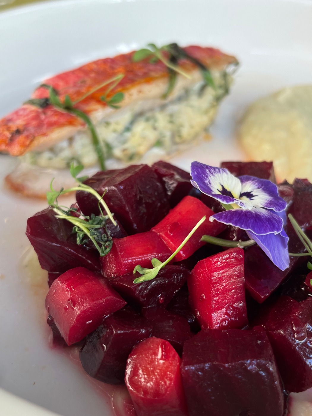 IMG_9383.jpeg IMG_9383.jpeg