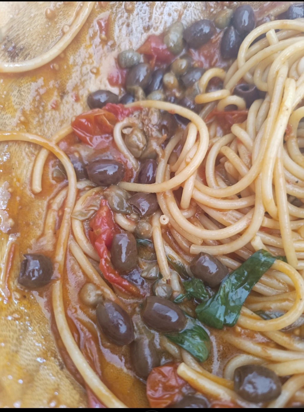 1000240177.jpg 1000240177.jpg