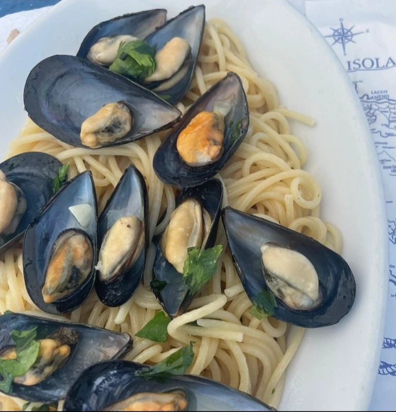 1000240181.jpg 1000240181.jpg