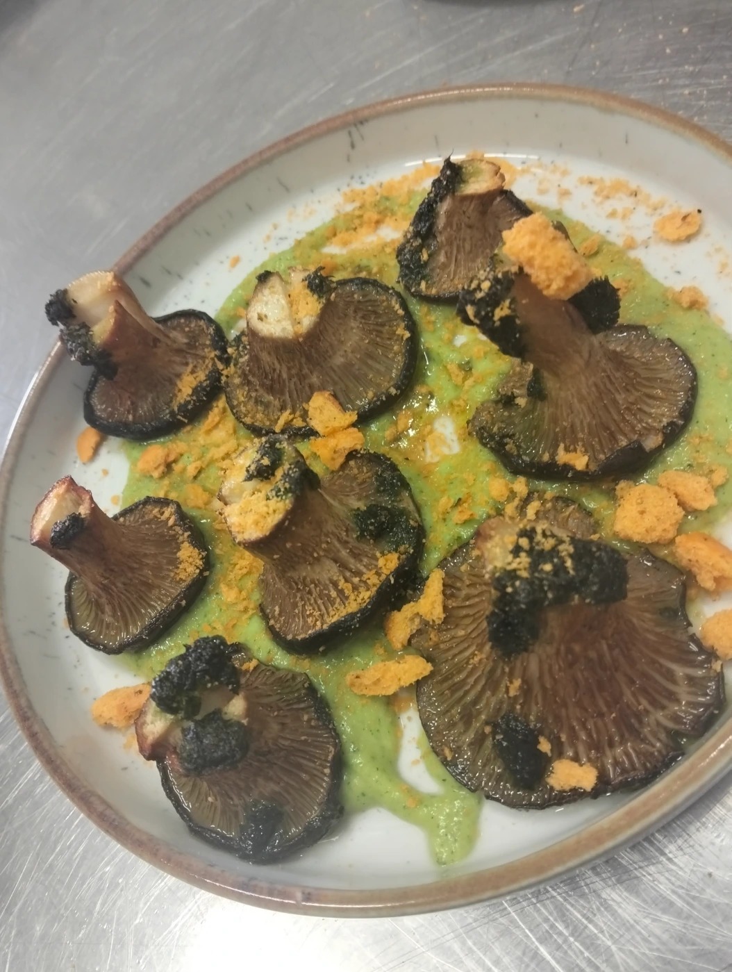 1000063702.jpg 1000063702.jpg