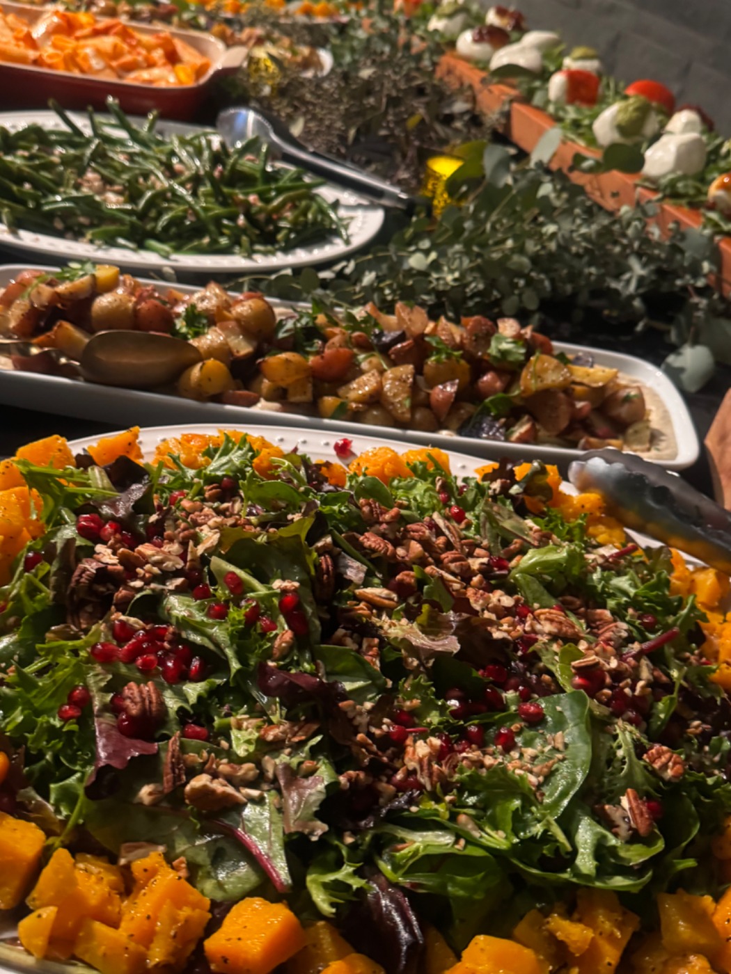 IMG_0543.jpeg IMG_0543.jpeg