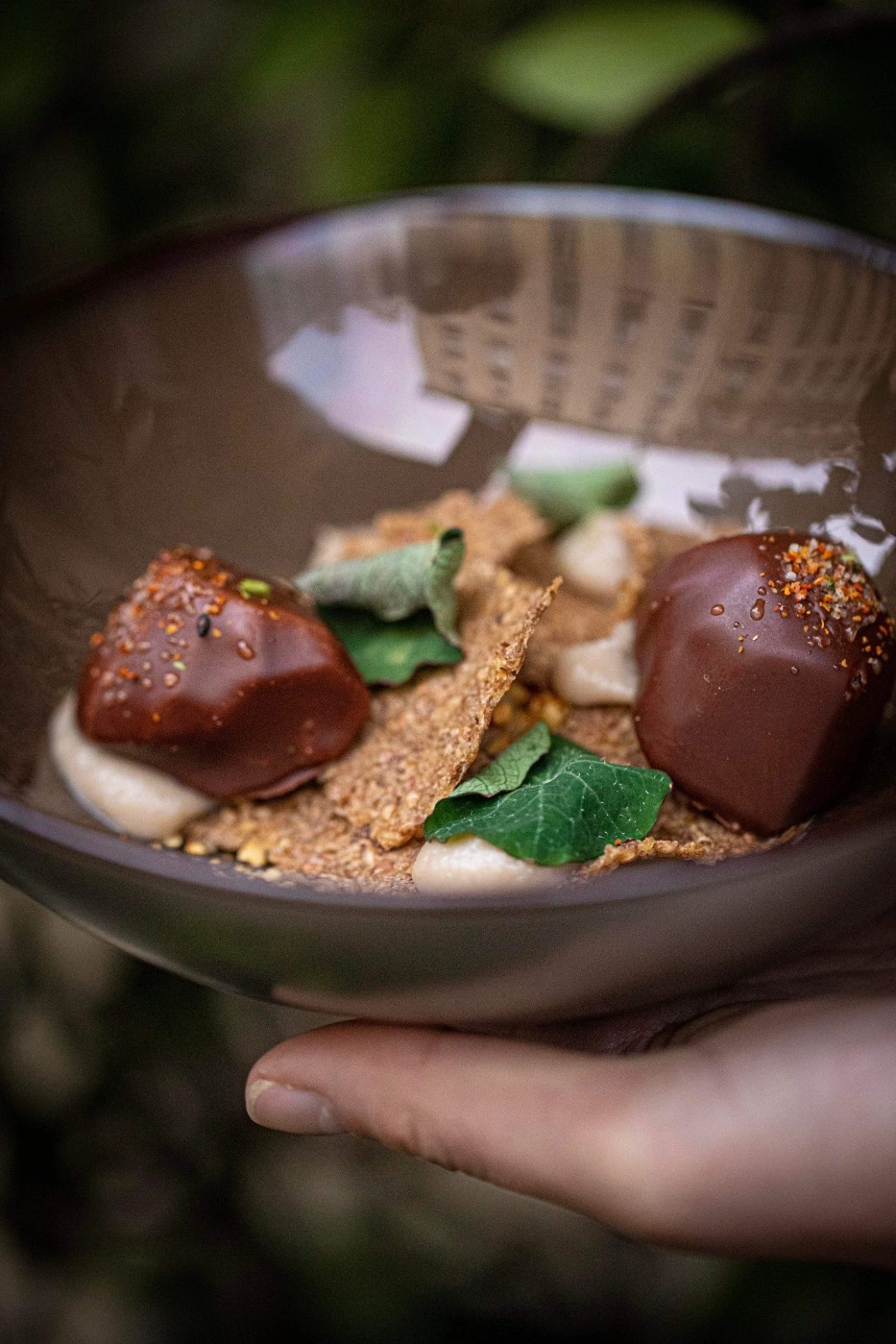 IMG_5680.JPG IMG_5680.JPG